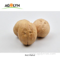 new crop wholesale walnuts in shell for sale
